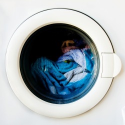 Washer Not Spinning