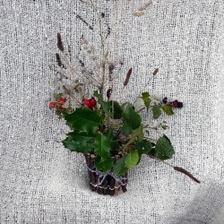 arrangement in vase