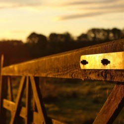 A gate on a homestead, at sunrise.