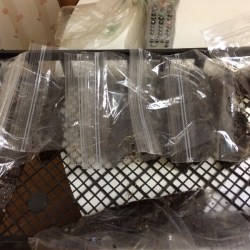 Winter Sowing (Part 1)