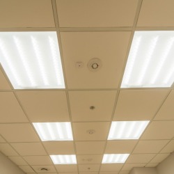 Fluorescent Ceiling Light