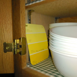 A yellow paint sample being stored in the kitchen.