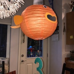 'Sharky' Goldfish Paper Lantern Decoration - finished lantern hanging