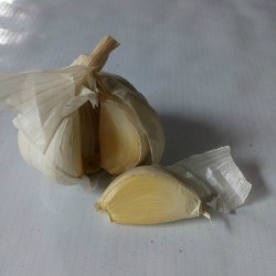 A head of garlic with one clove removed.