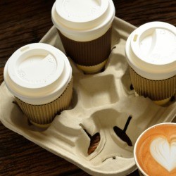 Cardboard Drink Carrier