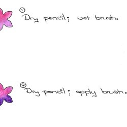 How To Use Watercolor Pencils - 4 examples on small floral shapes