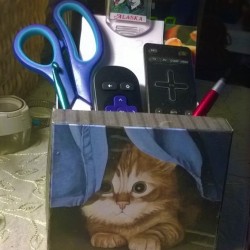 A cute cardboard box containing scissors, remotes and other clutter.