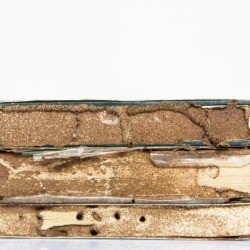 Three old books that have been damaged by termites.