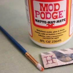 A bottle of Mod Podge and a paintbrush.