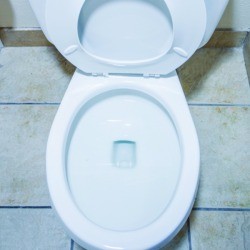 Bathroom toilet with the seat up.