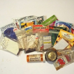 Organizing Seeds - lots of seed packets