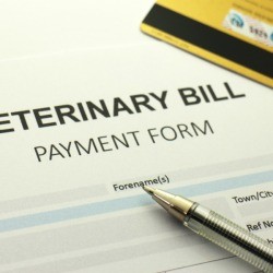 A bill from the veterinarian.