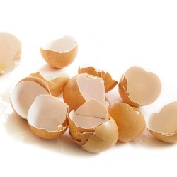 A pile of cracked eggshells on a white background.