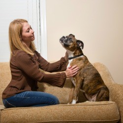 A woman and her dog on a couch.