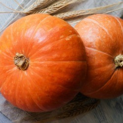 Two pumpkins, ready for baking.