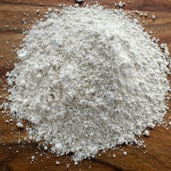 Diatomaceous Earth