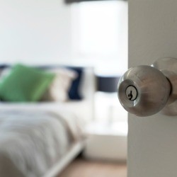 Hollow Core Bedroom Door