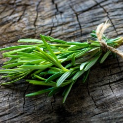 A sprig of rosemary on a wood surface.