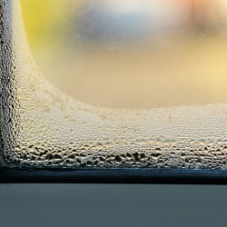 A window with water condensation.
