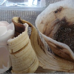 Homemade Fertilizer from Kitchen Scraps - original scraps before prepping 