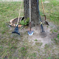 Start Your Gardening Early
