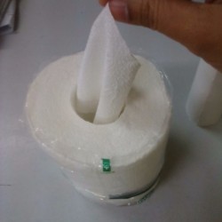 Pulling tissue from the middle of a roll of toilet paper.