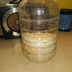 Homemade Shake and Bake in a jar