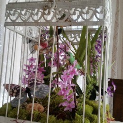 Bird Cage Floral Display
