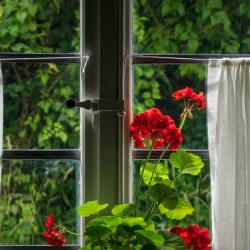 Curtains hung with string.