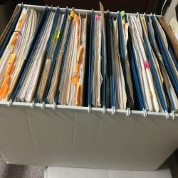 An organized box with hanging file folders.