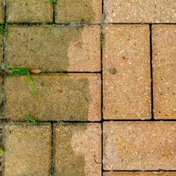 Red Brick Patio Cleaned on one side