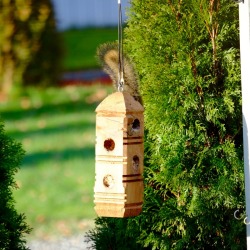 A squirrel eating from suet feeder.