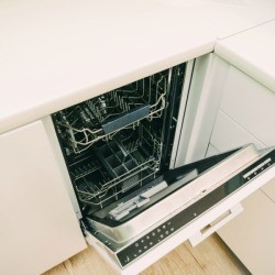 Dishwasher with the door open.