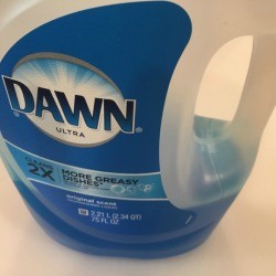 A bottle of Dawn dish soap.