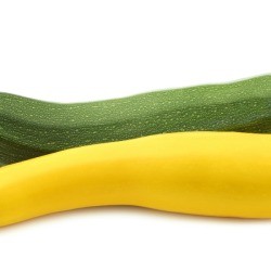 Squash and Zucchini