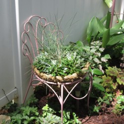 Thrift Store Garden Chair Planter - planted 