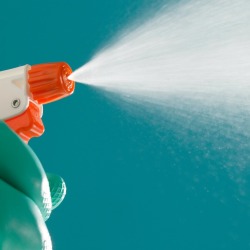 Wearing rubber gloves spraying cleaner with a spray bottle.