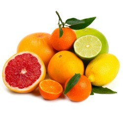 Several types of citrus fruit.