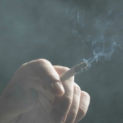 cigarette smoke