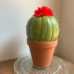 Foam Pumpkin Faux Cactus - faux potted cactus on antique phone table 