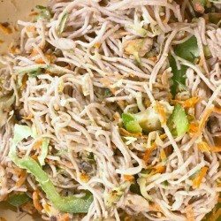 Peanut Butter Sauce Soba Noodles and Vegetables on plate
