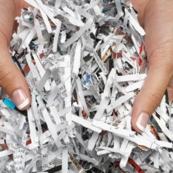 Shredded Paper