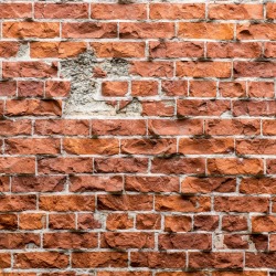 Brick Wall