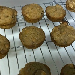 Apple Muffins cooling on rack