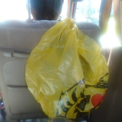 A carabiner for holding a plastic bag on the back of a car seat.