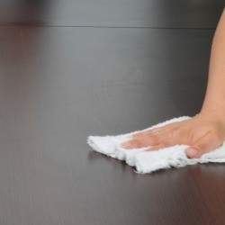 Cleaning Wood Table