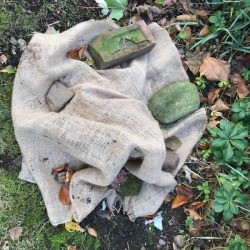 Burlap placed over a bush to protect it during winter.