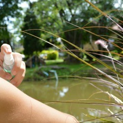 Spraying Herbal Insect Repellent on Skin