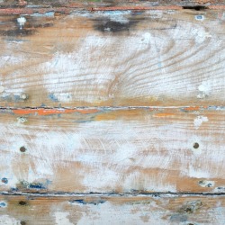 Painted Wood Floor