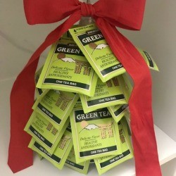 Christmas Tea Tree - sitting on a shelf